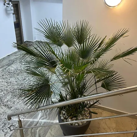 アパート 106 Almar *