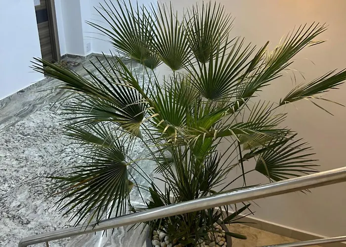 Apartman 106 Almar *